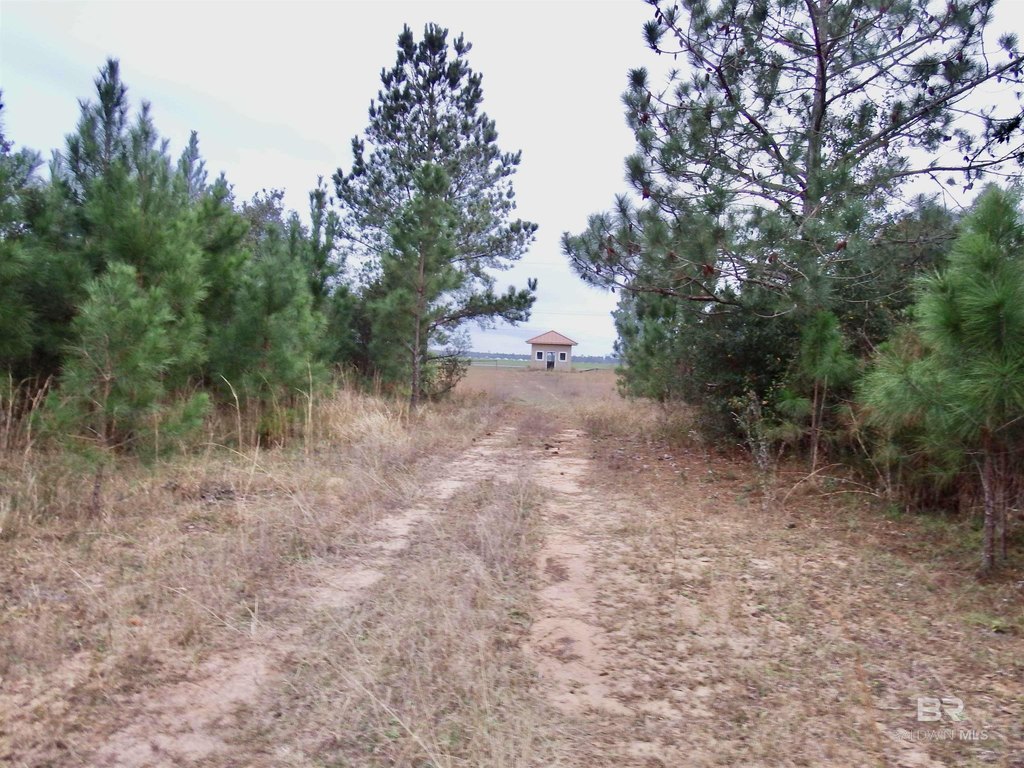 Picture 9