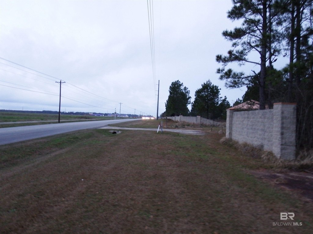 Picture 15