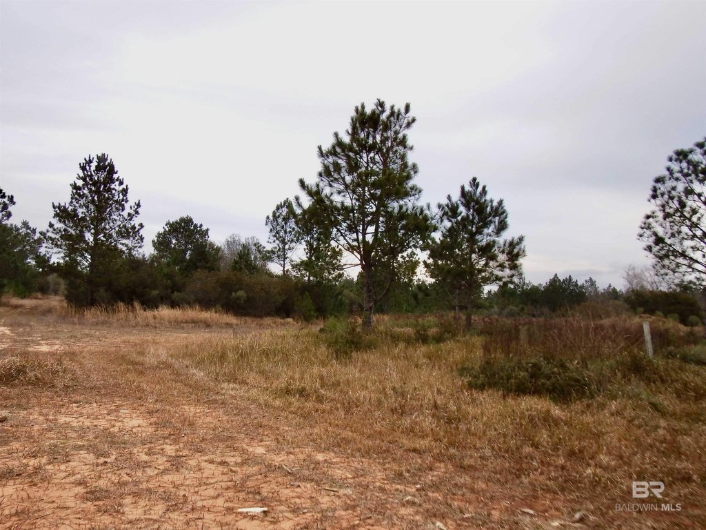 Picture 7