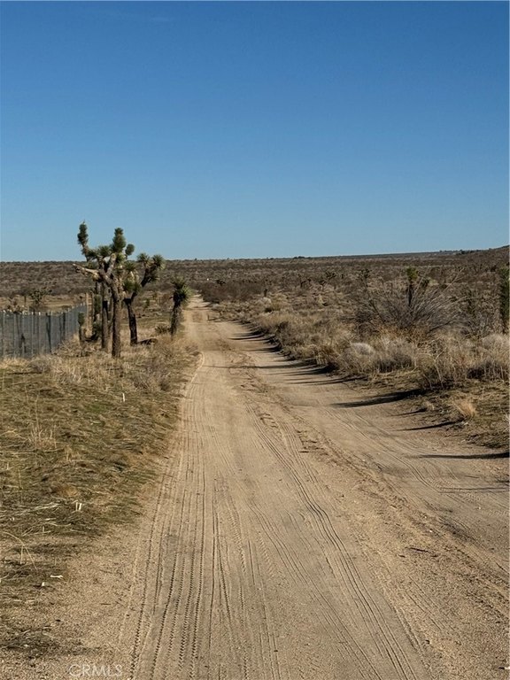 Picture 28