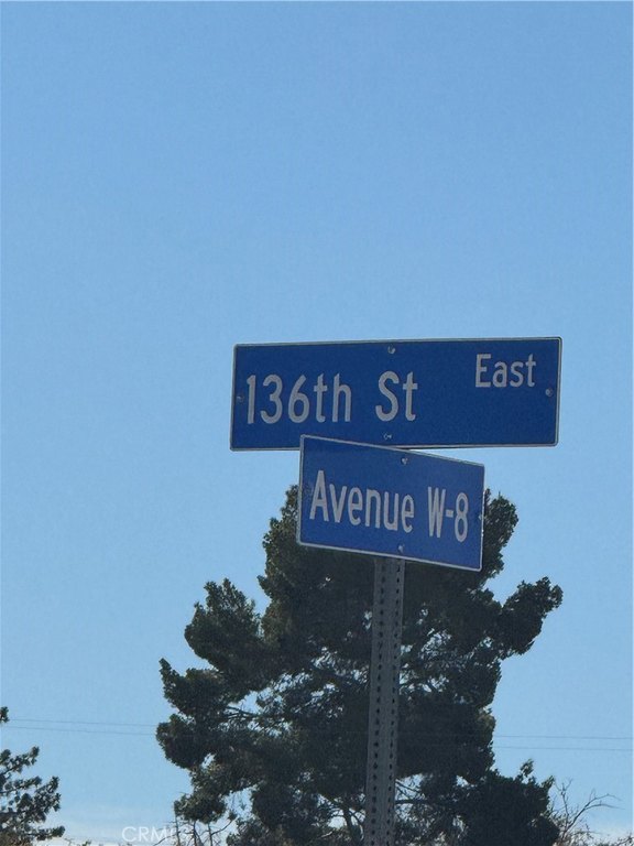Picture 11