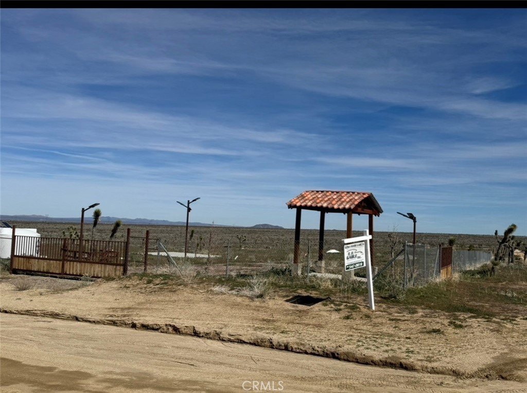 Picture 6