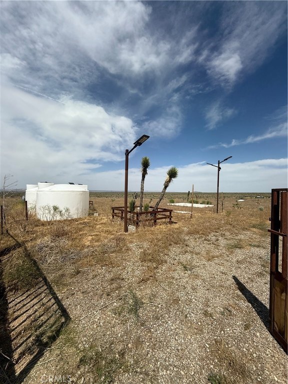 Picture 19