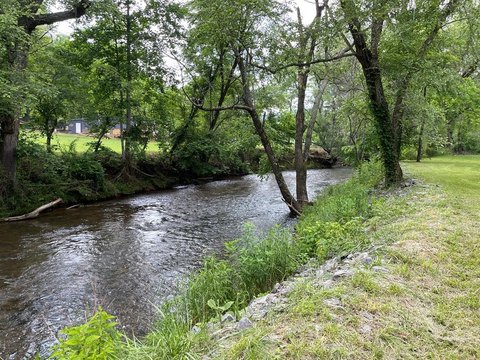 LAND - Warne, NC