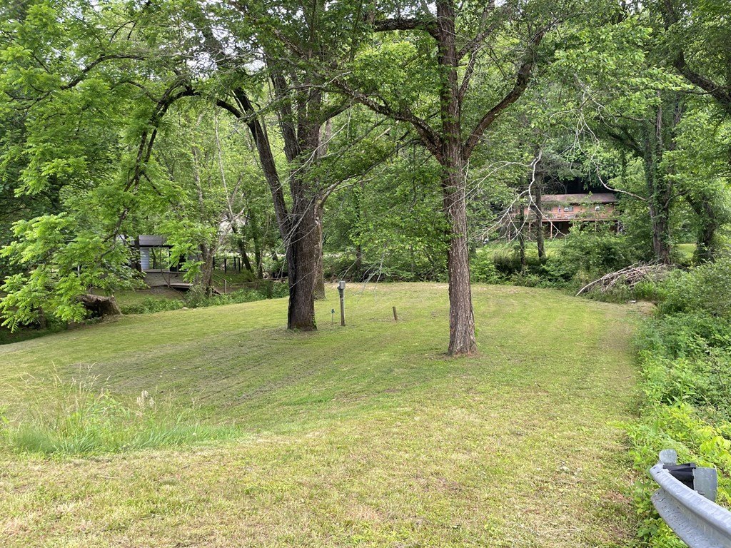 Picture 8