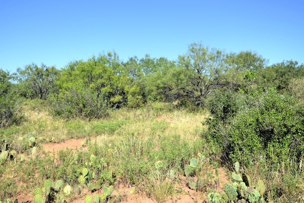 Picture 26