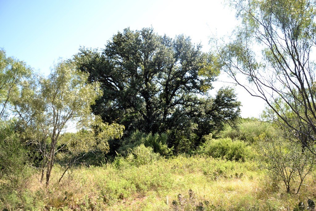 Picture 24