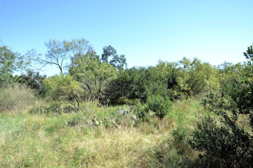 Picture 22