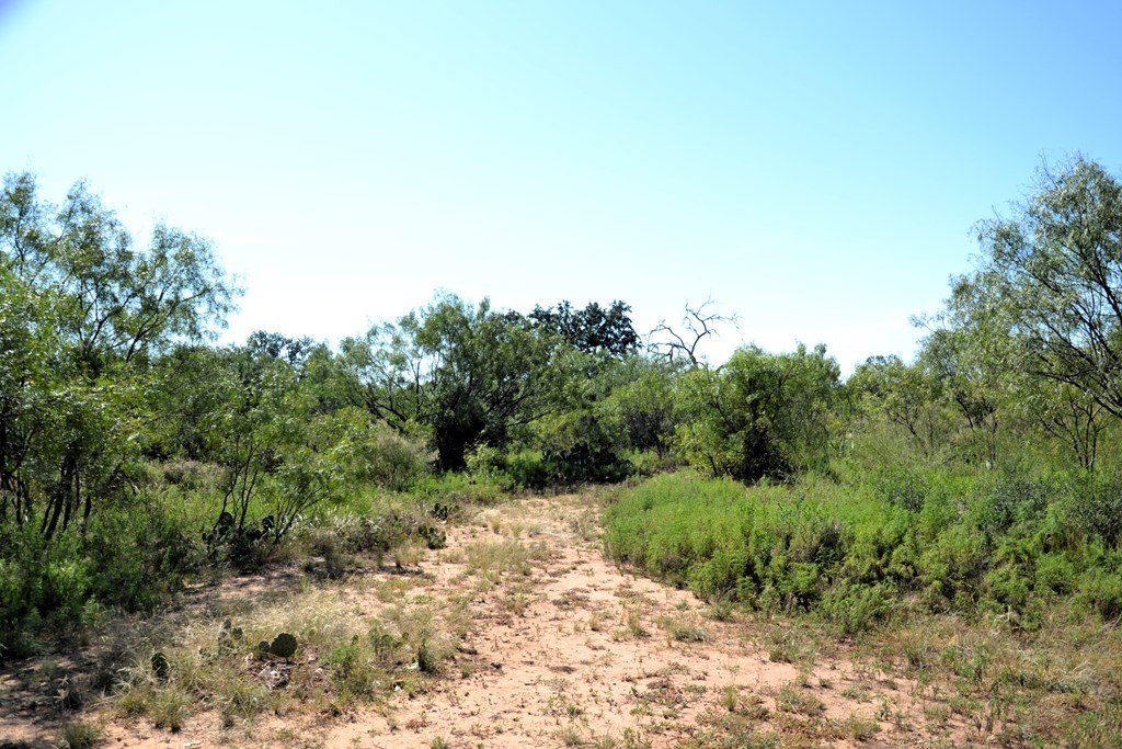 Picture 17