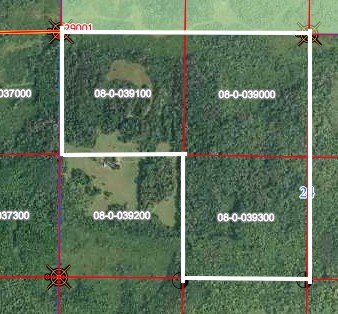 Wooded Hunting and Recreation Land