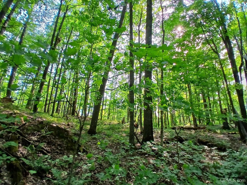 Picture 14