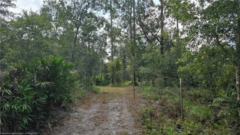 Land, Sebring, FL