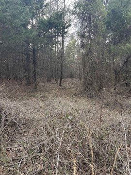 Quitman Land Near Highway 25
