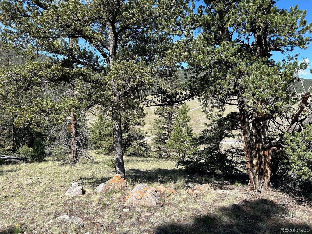Picture 26