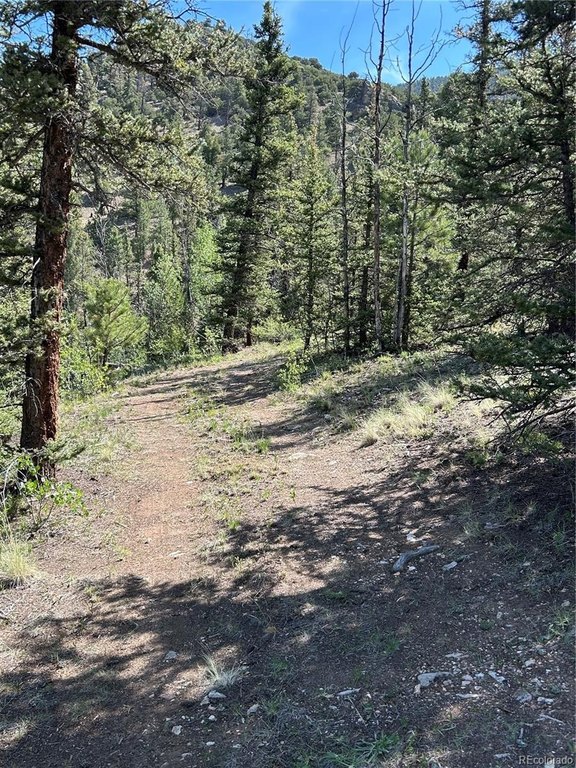 Picture 20