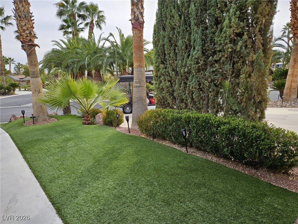 Picture 12
