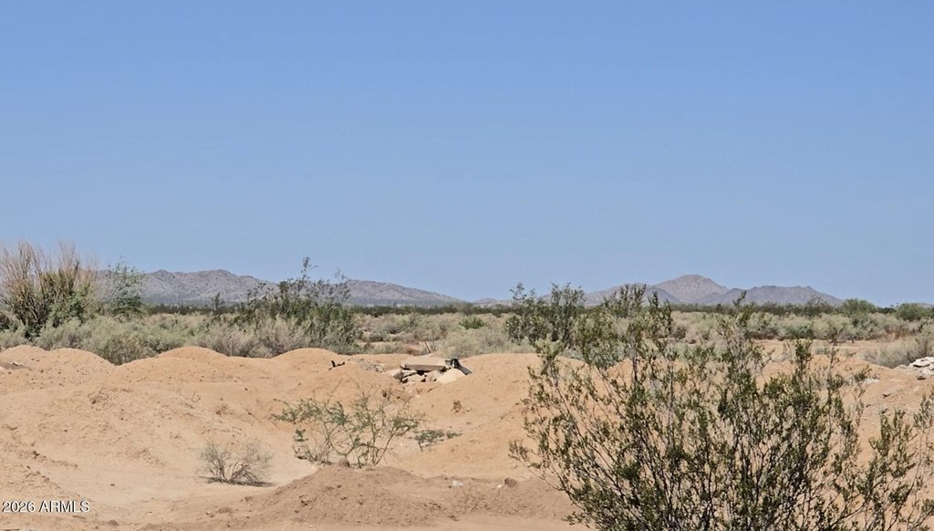 Picture 19
