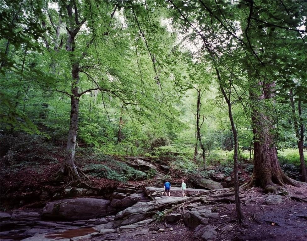Picture 13