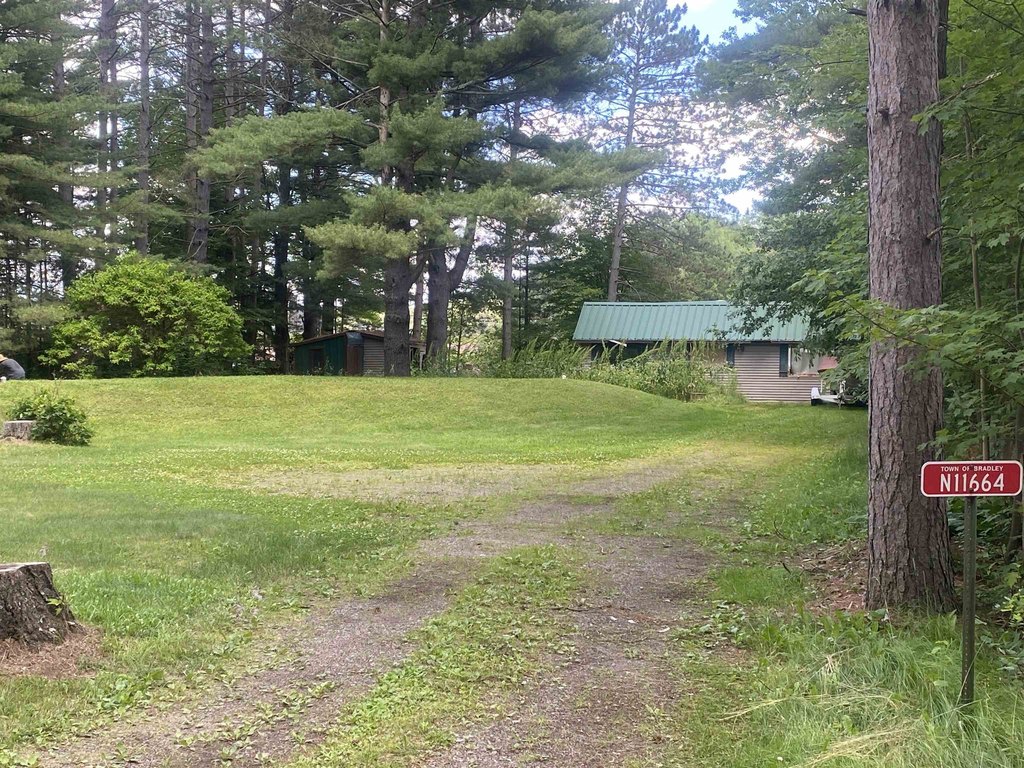 Picture 3