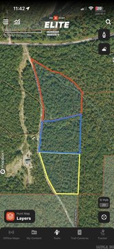 Secluded Wooded Land Near Lake