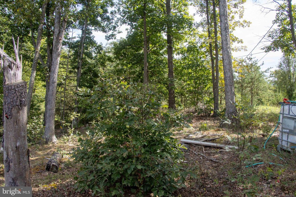 Picture 39