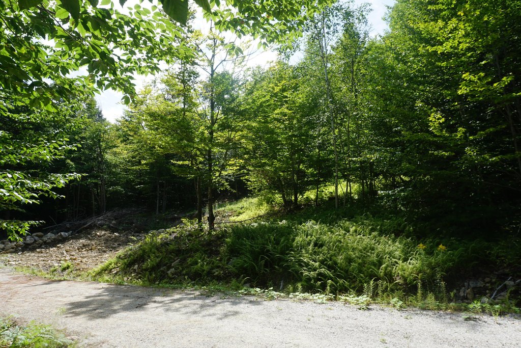 Picture 34