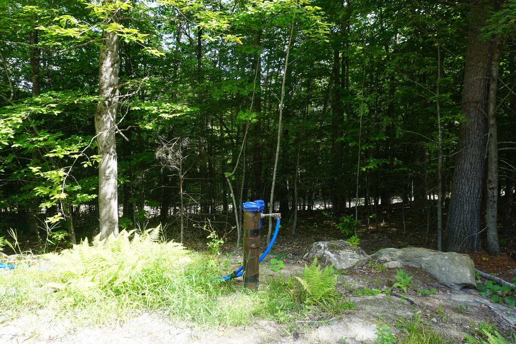 Picture 27
