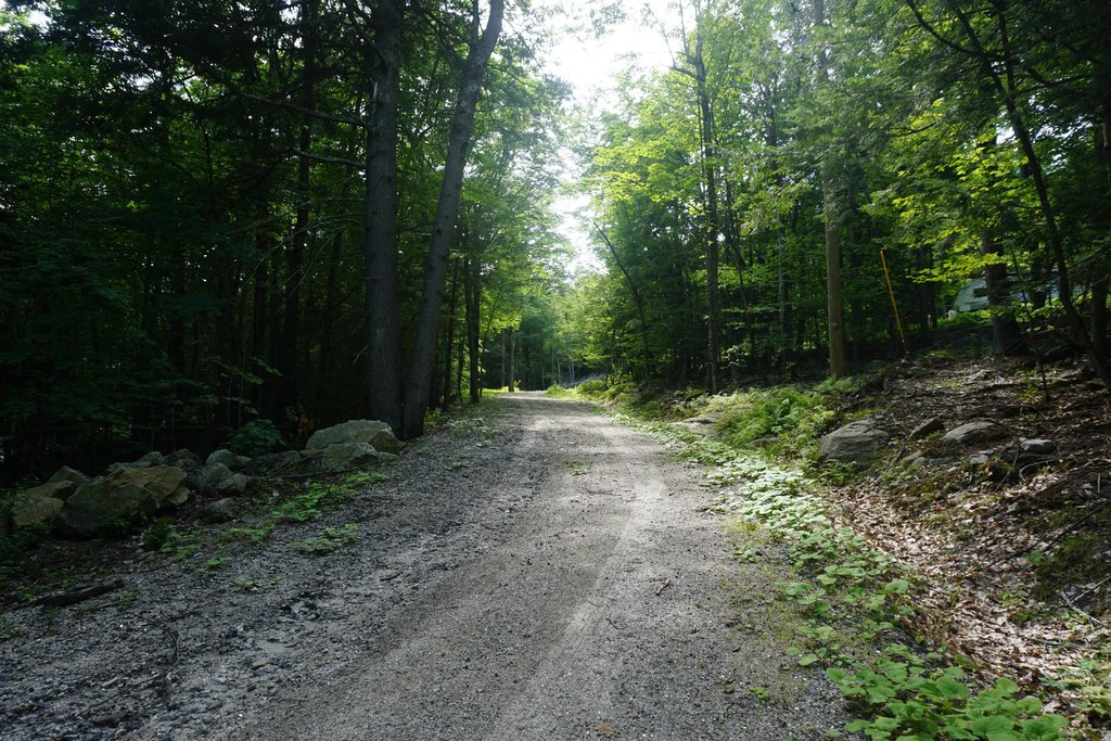 Picture 21