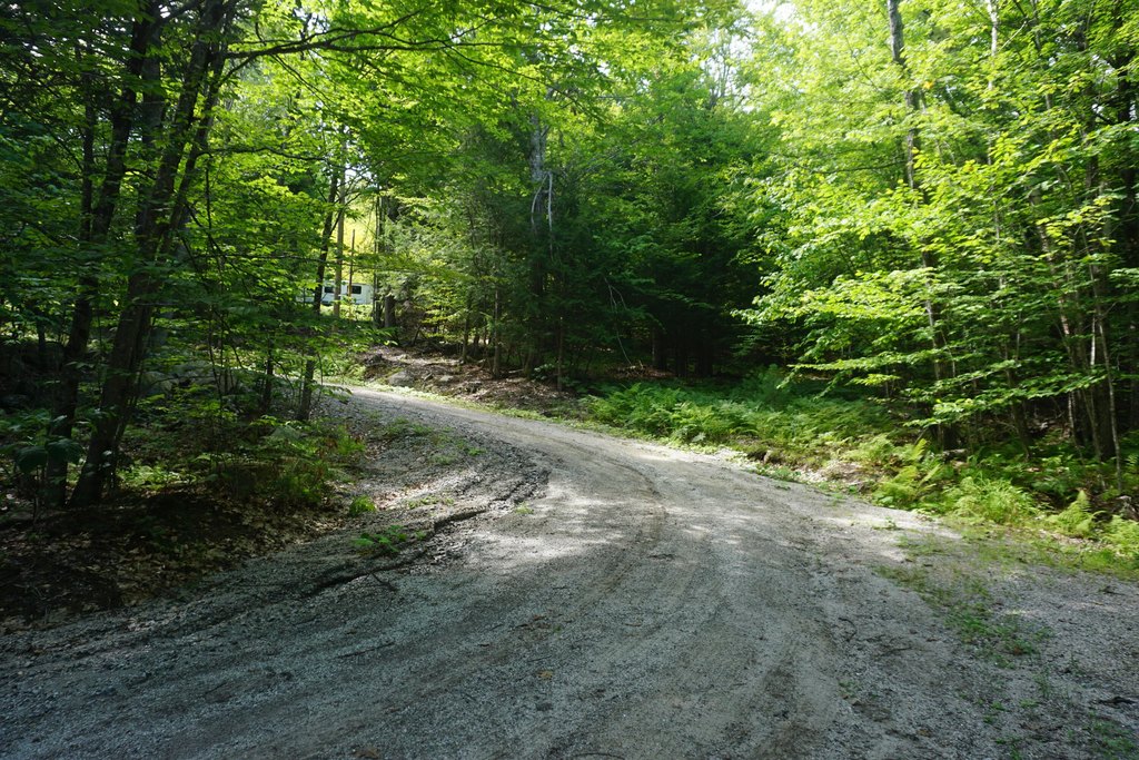 Picture 19