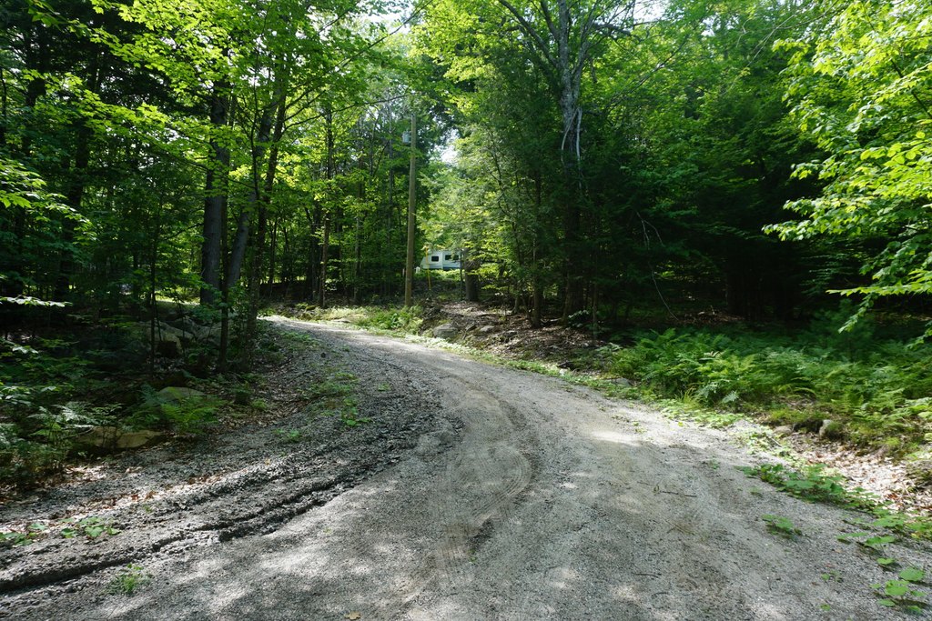 Picture 20