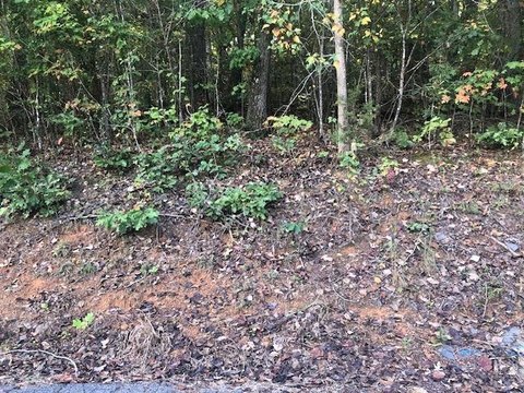 Land, Jasper, AL