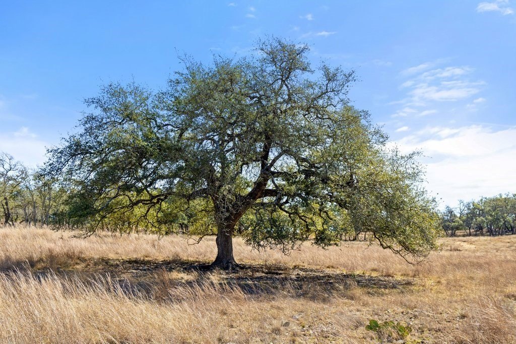 Picture 30