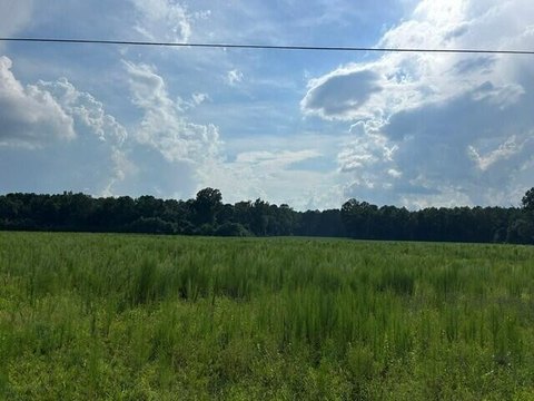 LAND - Harleyville, SC