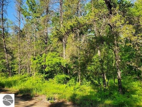 Wooded Hunting Land Tract