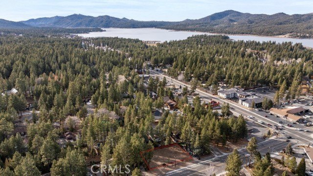 Picture 7