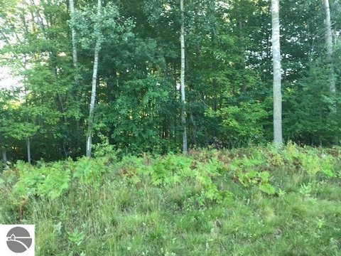 Wooded Lot Near US-23