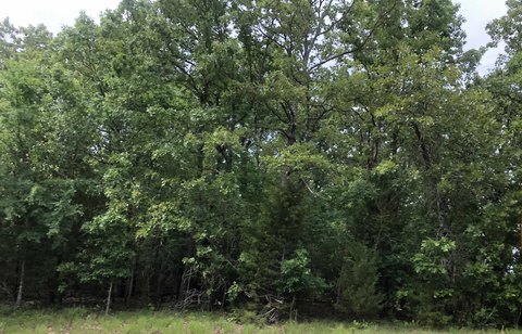 LAND - Cherokee Village, AR