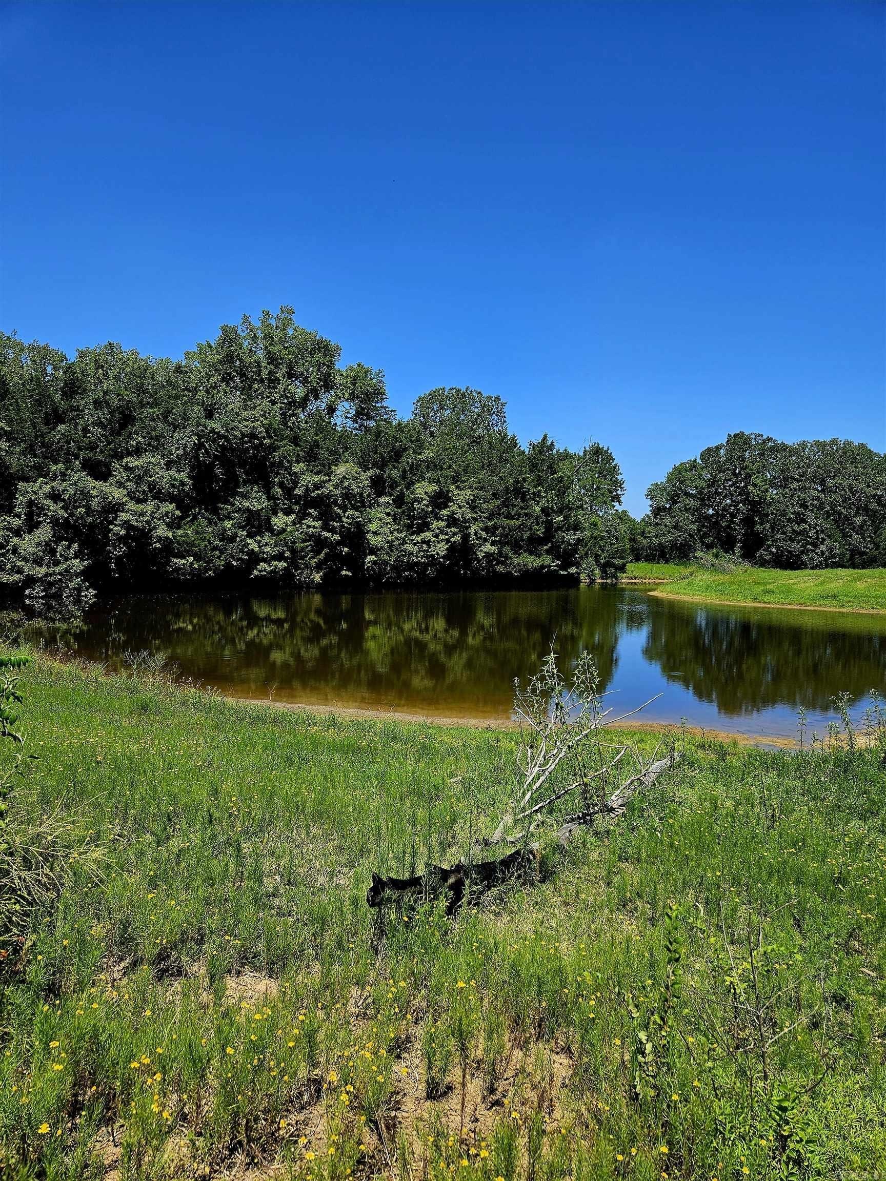 Huntington, AR Land Parcel