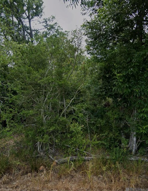Picture 4