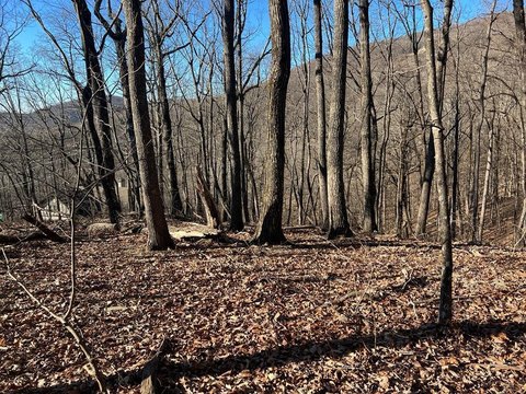 Jasper, GA Vacant Lot