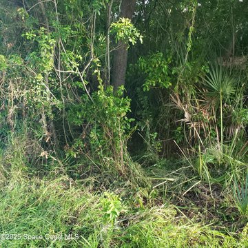 Residential Land in Merritt Island
