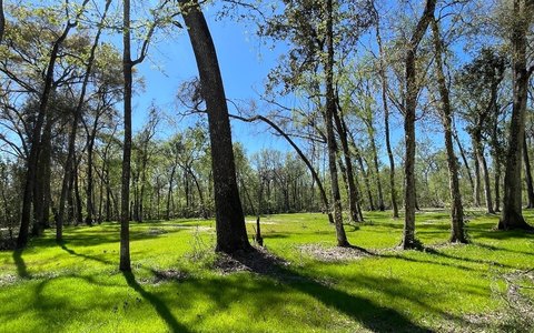 Fort White Residential Estate Lot