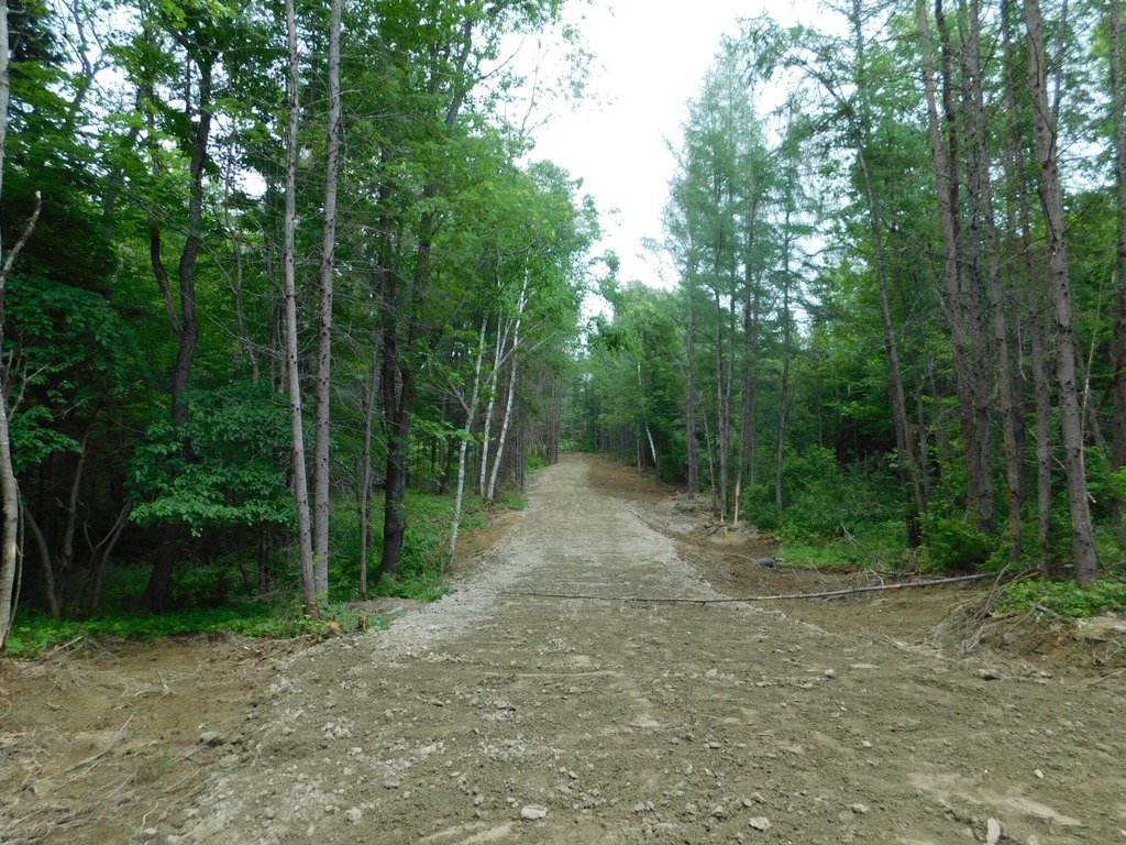 Picture 8
