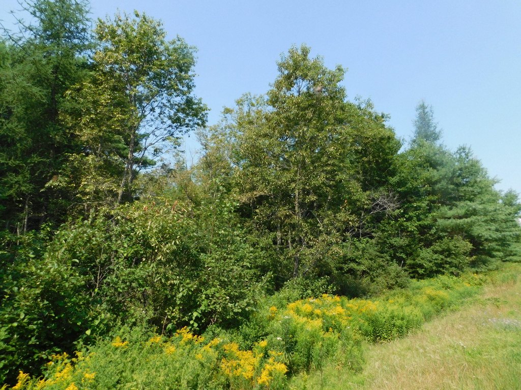 Picture 14