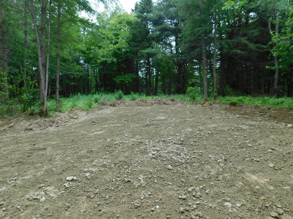 Picture 7