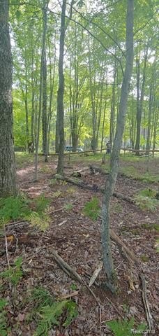 Picture 8