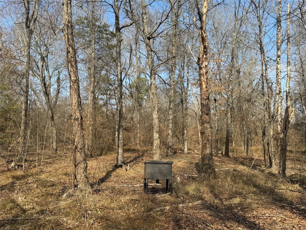 Picture 25