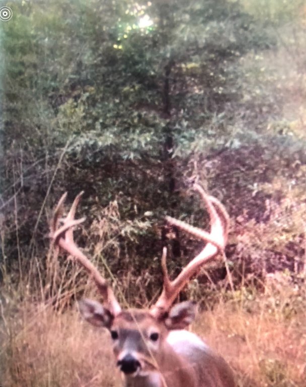 Picture 30
