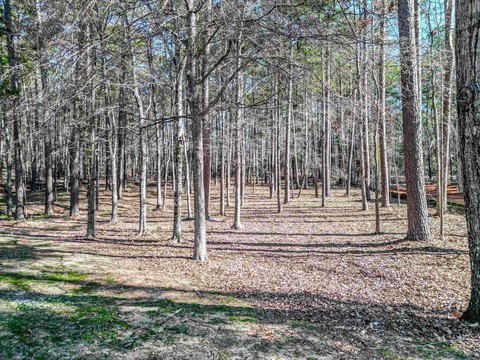 Residential Lot in Reynolds Lake