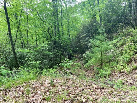 Residential Development Lot with Creek Trail